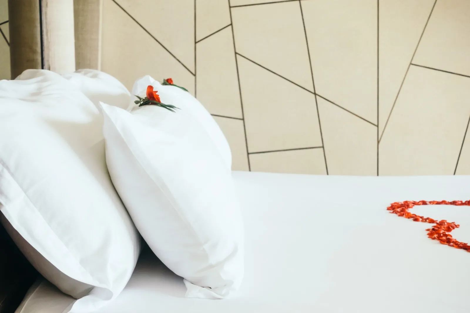 pulizia b&b loreto milano